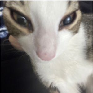 Meet your Posher, Aly